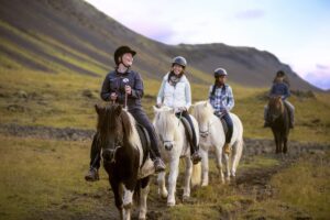 a group of four people riding horses through a green valley with a mountain in the background