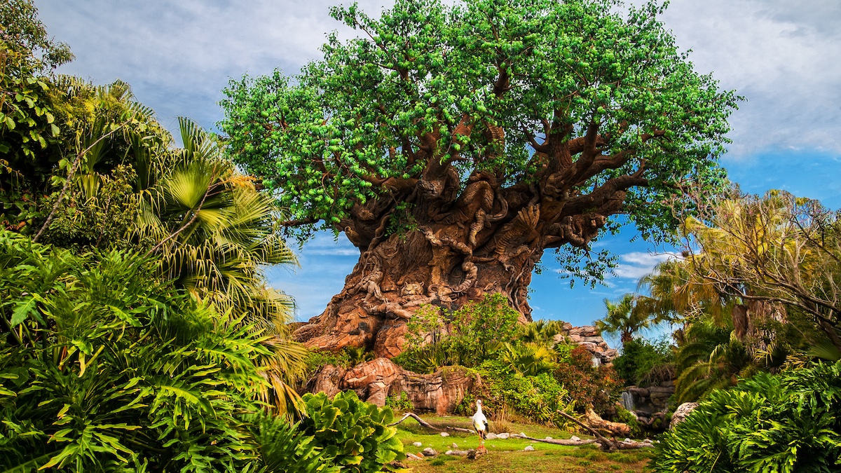 large tree of life icon at disney's animal kingdom theme park